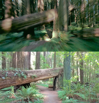 Illustration for article titled 36 years later, Return Of The Jedi's Tatooine and Endor filming locations remain mostly unchanged
